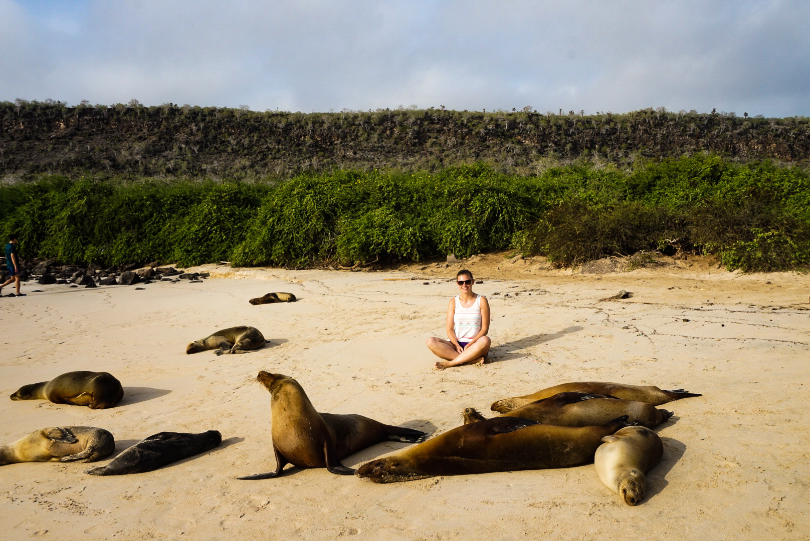 Ecuador_Galapagos_Sealion, olotravel, sharethelove, traveling alone, female travel